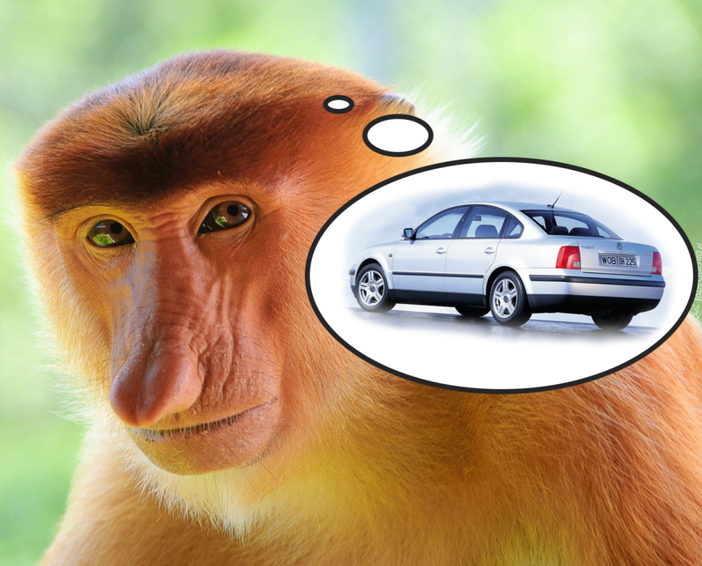 Zrzut ekranu 2018-04-22 o 00.24.39